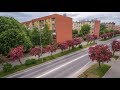 Kwitnąca ulica Wyspiańskiego w Tarnobrzegu - wideo z drona 4k